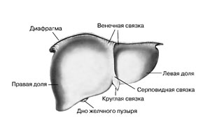 печь на отработанном масле чертежи